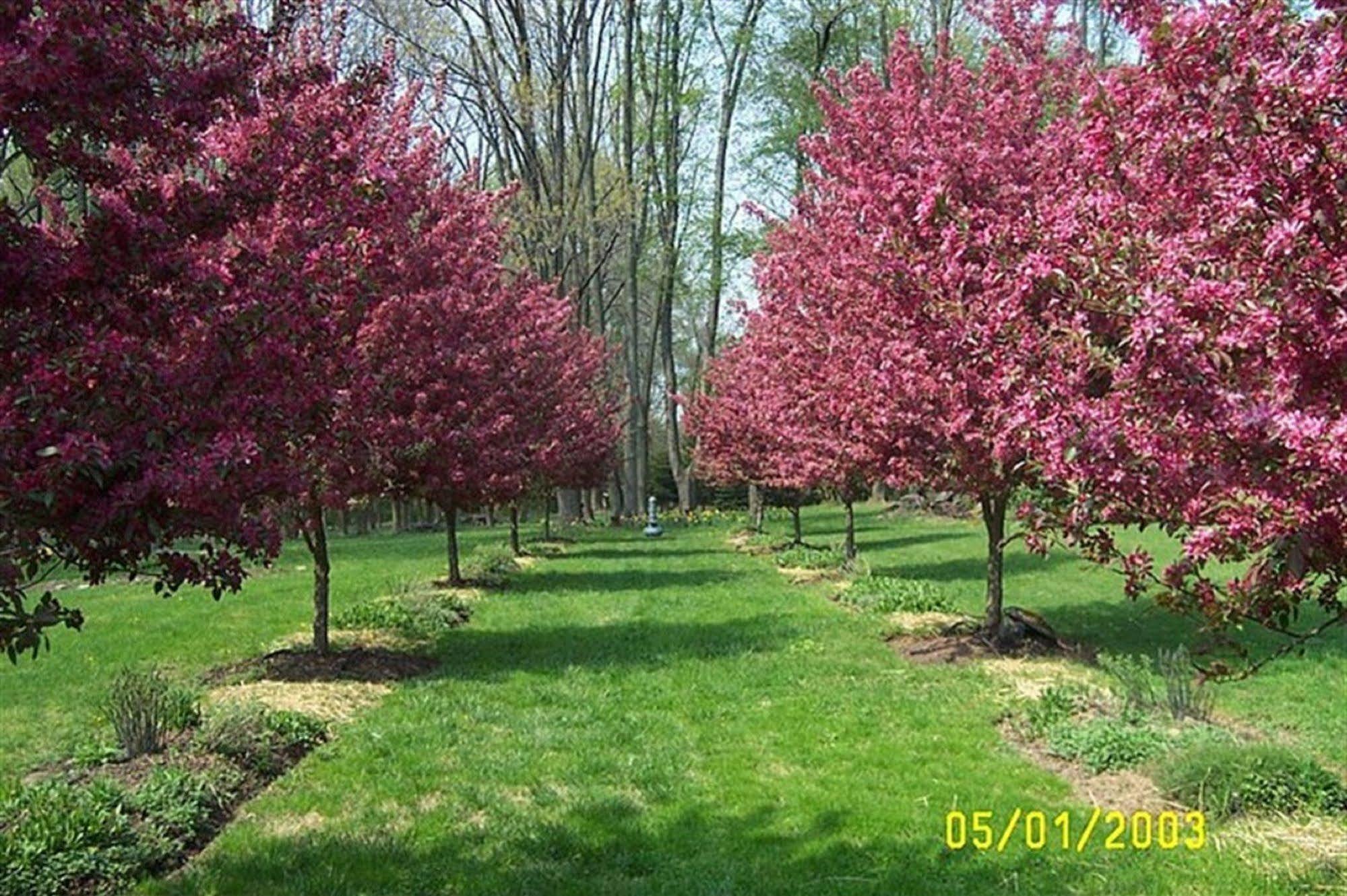 Bed and Breakfast Wild Wisteria Chadds Ford Esterno foto