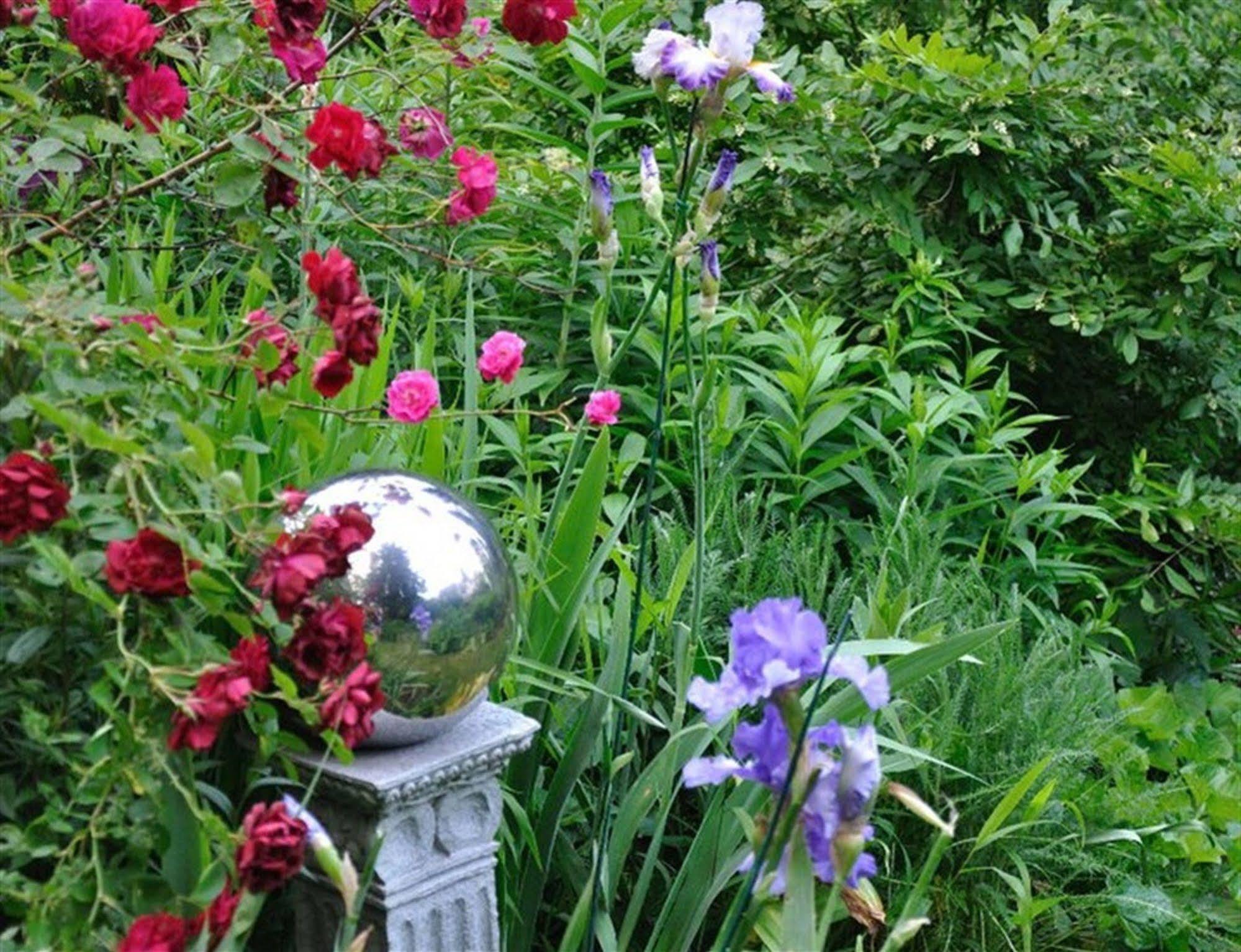 Bed and Breakfast Wild Wisteria Chadds Ford Esterno foto