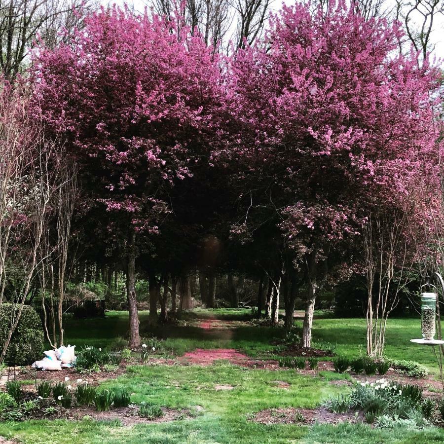 Bed and Breakfast Wild Wisteria Chadds Ford Esterno foto